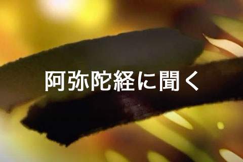 第３回　阿弥陀経という経典―無問自説経
